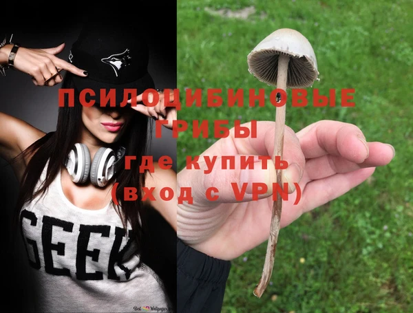 ALPHA PVP Алексеевка